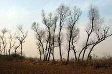 房山窦店土城天气